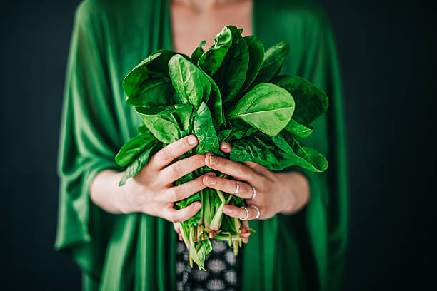 Young woman holding spinach leafs salad stock photo