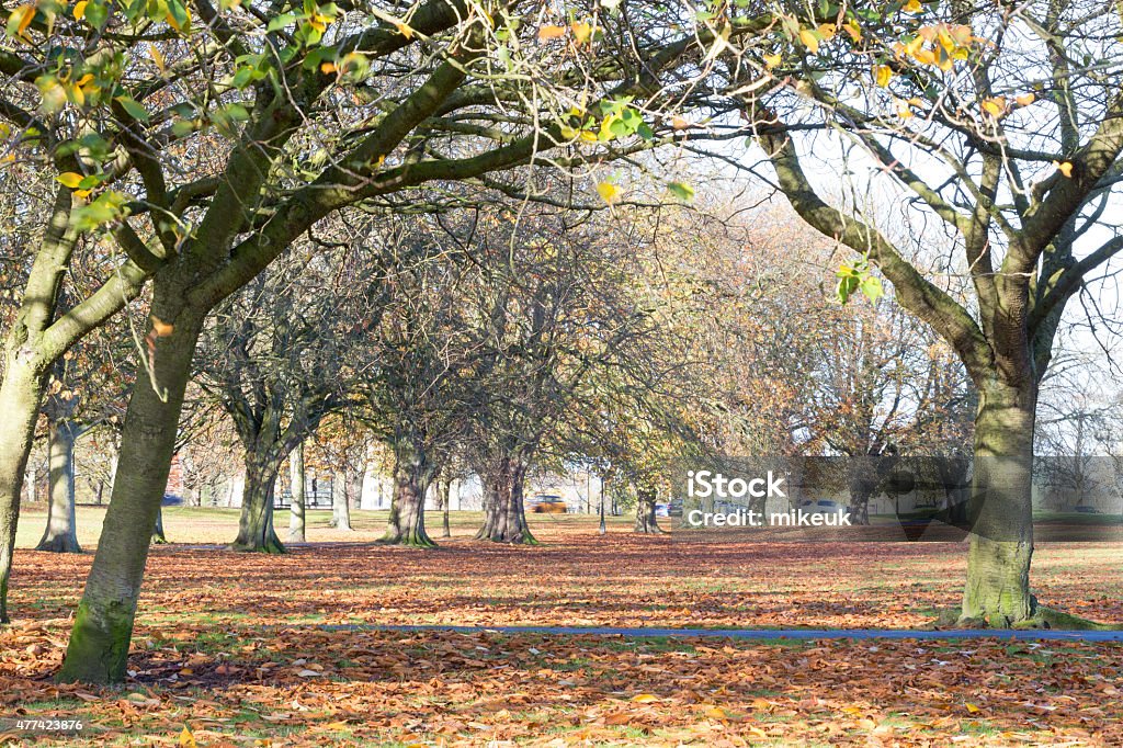 An Autumn city view of Harrogate in North Yorkshire England An Autumn city view of Harrogate in North Yorkshire England. View from the Stray town centre park showing historical architecture of town centre buildings. 2015 Stock Photo