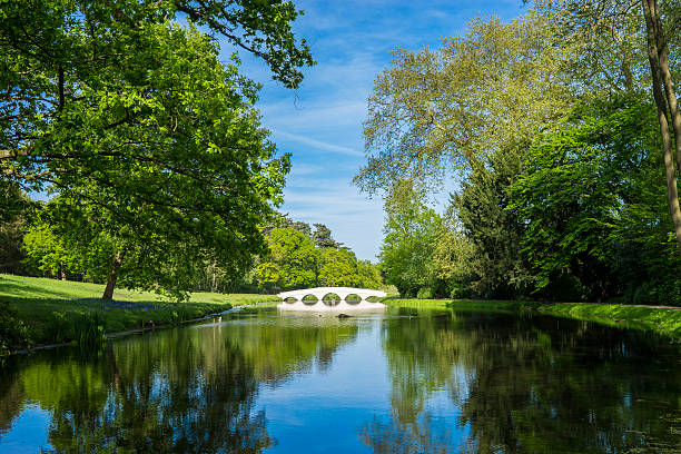 istock Lake bridge and green trees 477423946