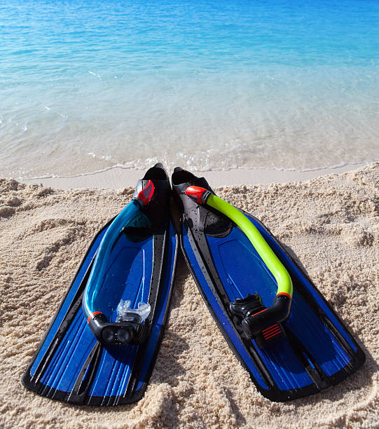 istock flippers on sand at sea edge 477424444
