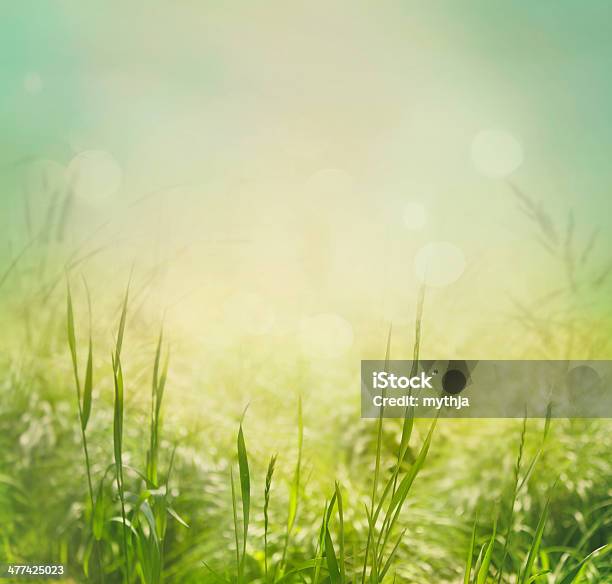 Fondo De Primavera Foto de stock y más banco de imágenes de Jardín privado - Jardín privado, Cielo, Césped