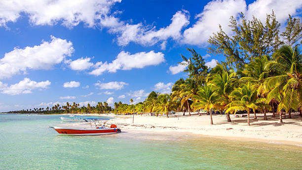 istock Caribbean beach in Dominican Republic 477427282