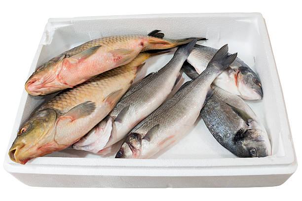 istock Breams and carps in tray 477428133