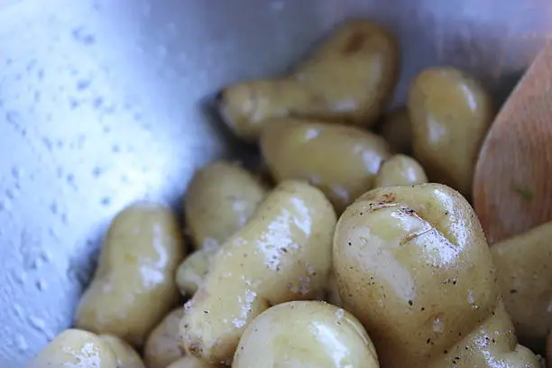 This image shows fingerling potatoes tossed in olive oil and spices in a stainless steel mixing bowl, prior to roasting. The image is set up to emulate a preperation and cooking environment in a domestic or commercial kitchen setting. 