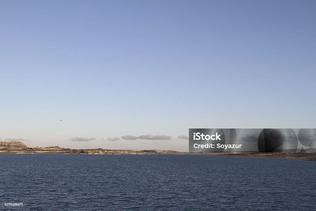 Alicante La Pedrera swamp in Alicante, Spain Alicante Stock Photo