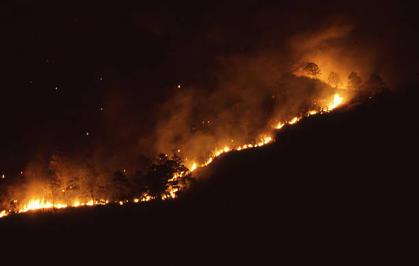 istock Forest Fire burning night Pine Forests Tegucigalpa Honduras 477429574
