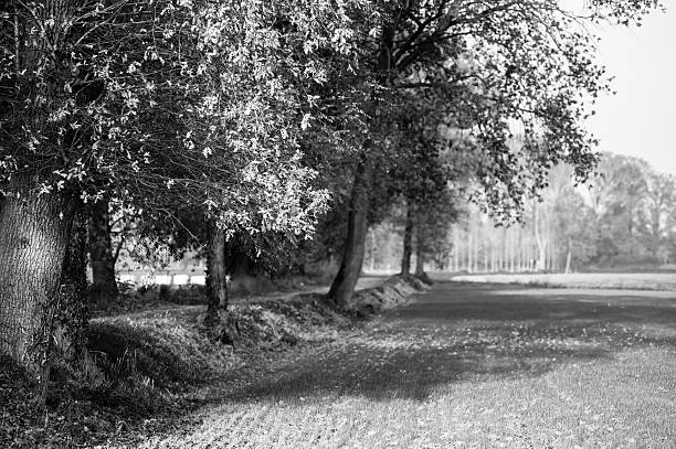 istock Italian countryside landscape 477429765