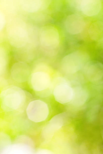 istock Abstract bright blurred yellow and green background 477434384