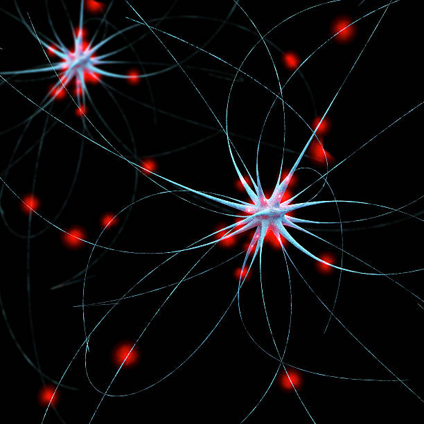 신경 세포 - 3d 렌더링됨 일러스트 - elektronl 뉴스 사진 이미지