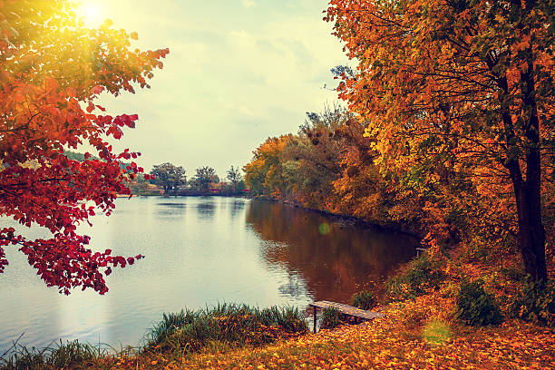 istock Rural landscape at sunset. Lake in autumn 477434482