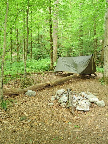 istock Camping tarp over hammock in campsite 477434742