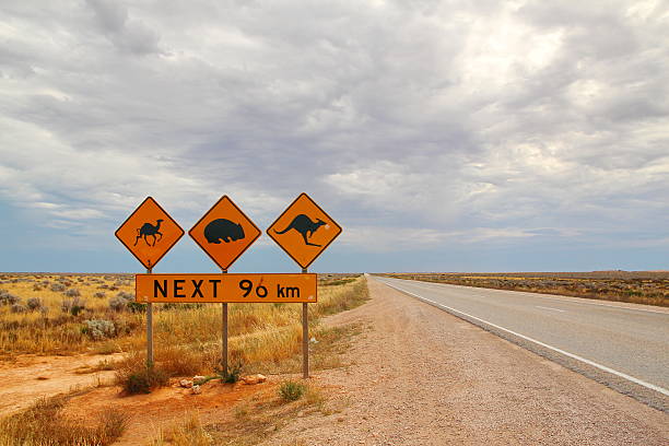istock Australian road signs 477436198