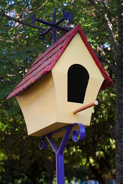 istock House of birds 477436222