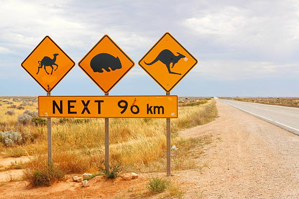 istock Australian road signs 477436230