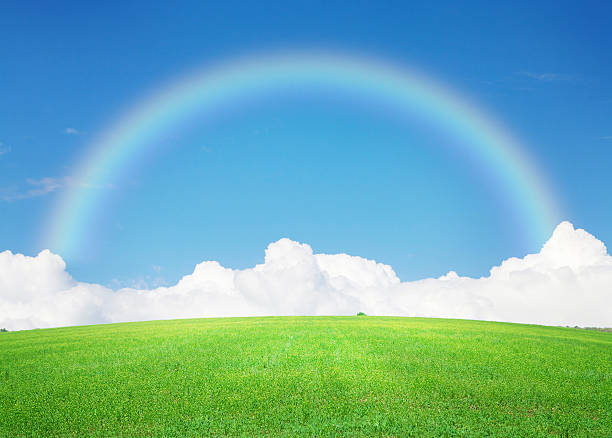 istock Green grass field, blue sky with clouds and rainbow 477438758