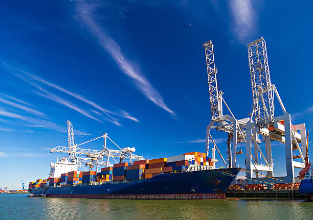 large container vessel unloaded in port of rotterdam - container ship stockfoto's en -beelden