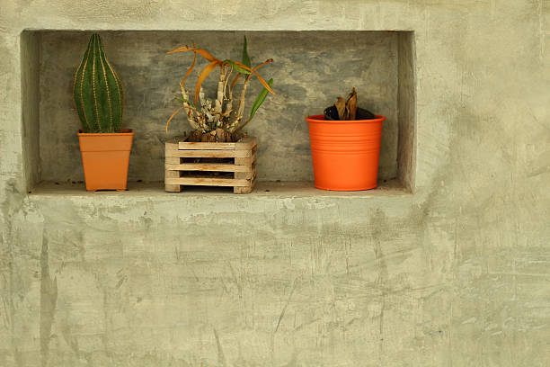 istock Potted plants for home decoration Modern Style 477439750