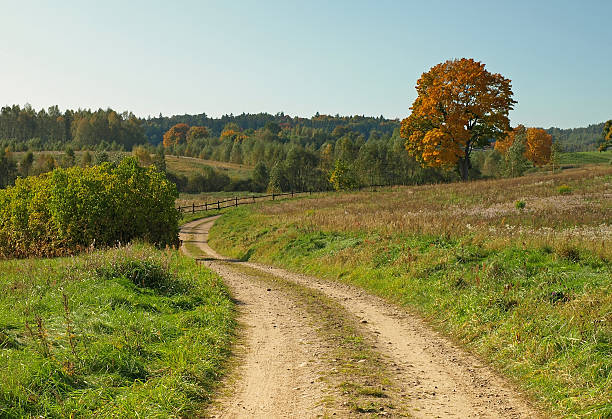 istock Rural autumn road 477440173