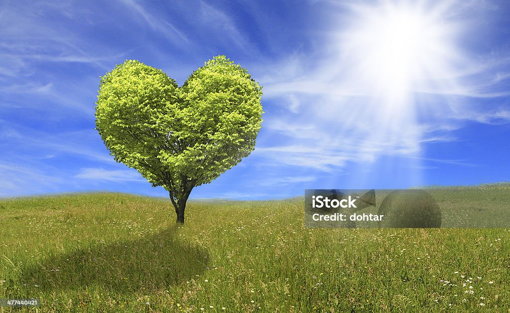 Tree in shape of heart, eco concept. respect nature and love it. Backgrounds Stock Photo
