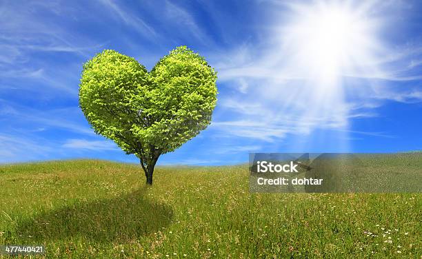 Tree In Shape Of Heart Eco Concept Stock Photo - Download Image Now - Backgrounds, Beauty In Nature, Beginnings