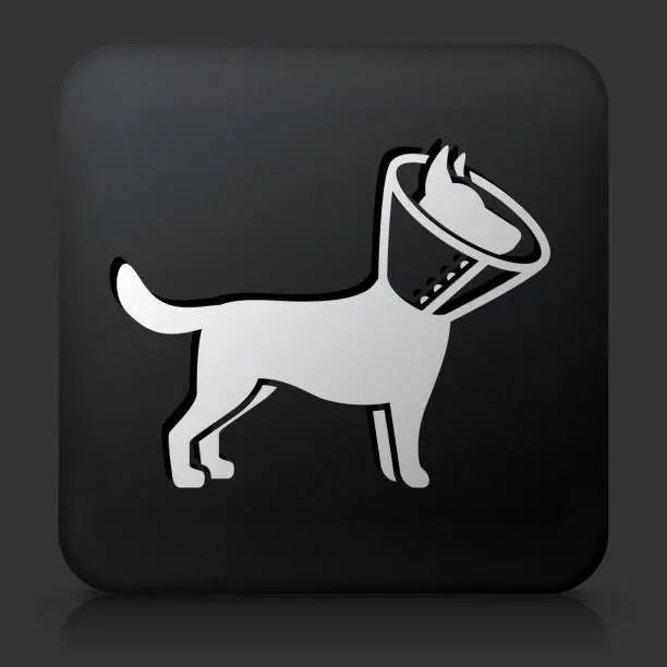 Vector illustration of Black Square Button with Dog and Neck Cone