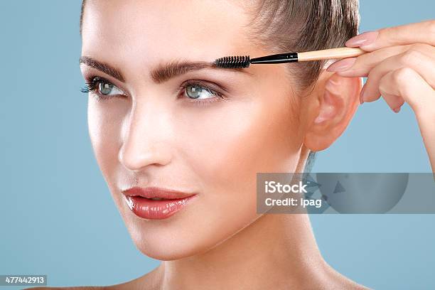 Closeup Beautiful Woman With Eyebrow Brush Tool Stock Photo - Download Image Now - Eyebrow, Forehead, Adult