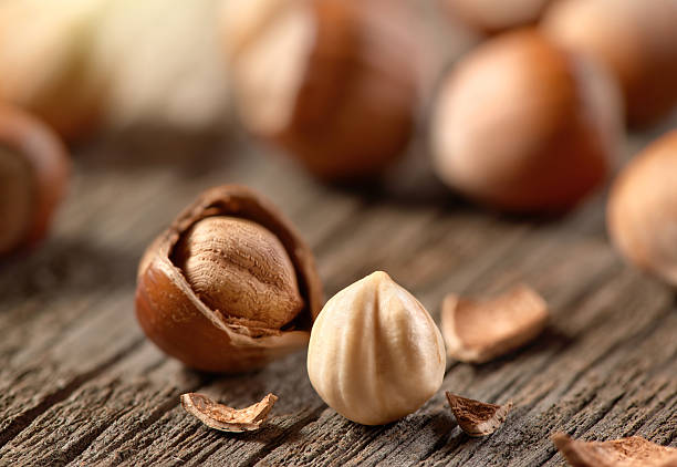 hazelnuts, filbert on old wooden background - hazel tree bildbanksfoton och bilder