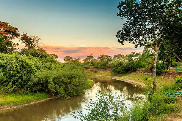 Landscape of Pantanal, Brazil