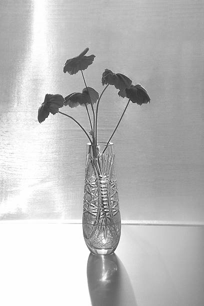 istock flower in a crystal vase 477445011