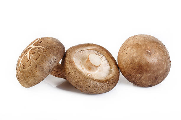 istock Fresh shiitake mushroom isolated on white 477445048