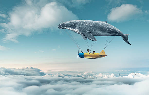 Take me to the dream the dream to fly dreamlike stock pictures, royalty-free photos & images