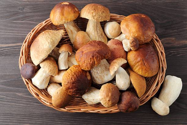 Porcini mushrooms