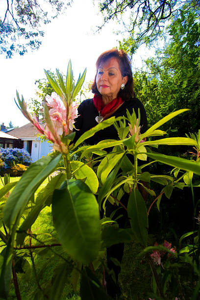 istock hispanic woman gardening 477446688