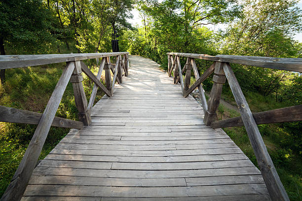 istock Wooden bridge In forest. Background for design 477451040