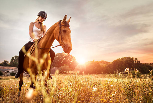 młoda kobieta jazdy konia w naturze - horse summer animal beautiful zdjęcia i obrazy z banku zdjęć