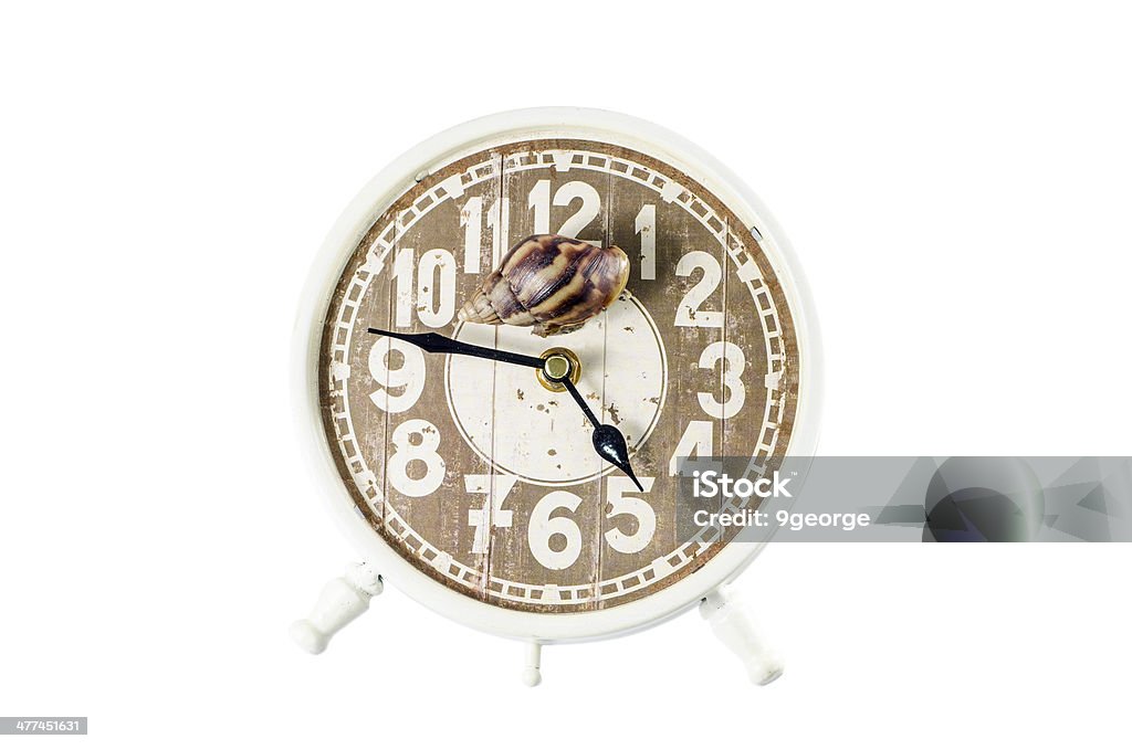 Chiocciola Camminare a gattoni sulla faccia di orologio - Foto stock royalty-free di Anfibio