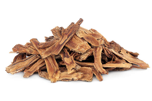 Gentian Root stock photo