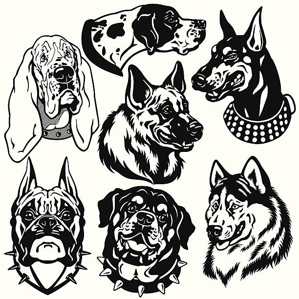 黒の白い犬、ヘッドセット - ドーベルマン点のイラスト素材／クリップアート素材／マンガ素材／アイコン素材