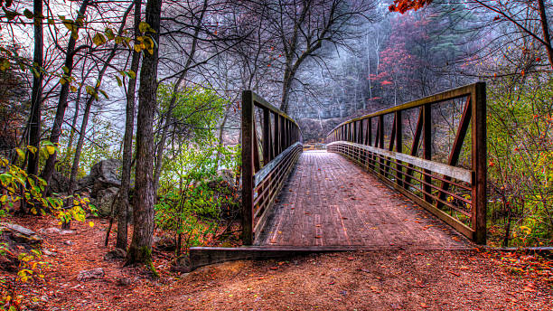 istock Creek and Bridge in HDR soft focus 477459597