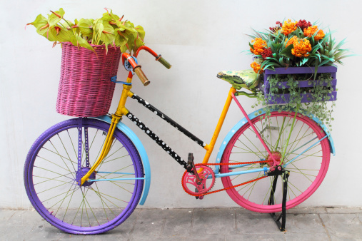 Old colourful bike with flowers