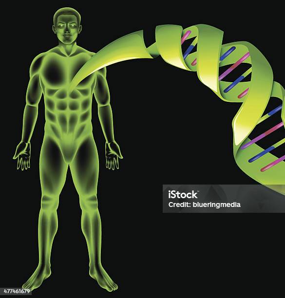 숫나사 휴머니즘 Dna DNA에 대한 스톡 벡터 아트 및 기타 이미지 - DNA, 곧은, 골지체