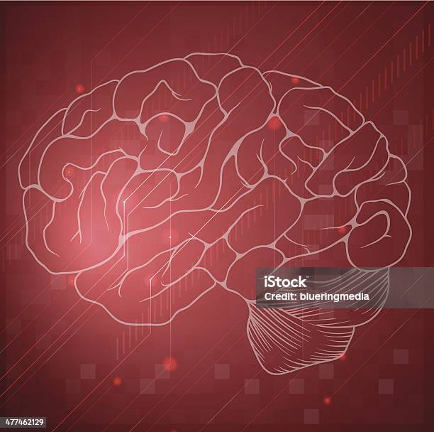 Ilustración de Cerebro y más Vectores Libres de Derechos de Anatomía - Anatomía, Arteria carótida, Biología