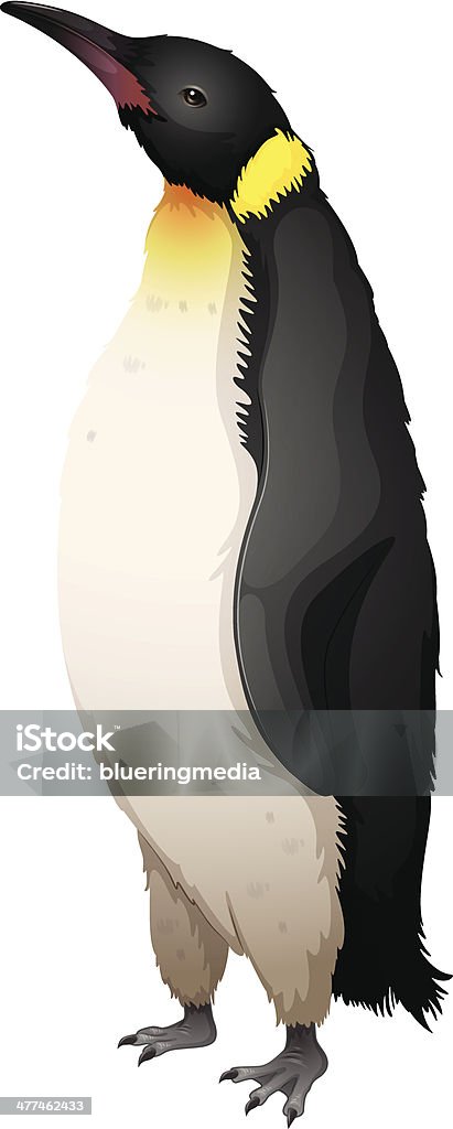 ウミウシペンギン - イラストレーションのロイヤリティフリーベクトルアート