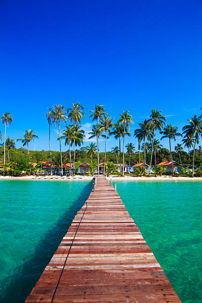 Tropical Resort Boardwalk On Beach Stock Photo - Download Image Now - Cancun,  Beach, Tourist Resort - iStock