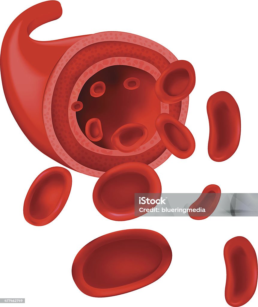 Globuli rossi - arte vettoriale royalty-free di Sangue