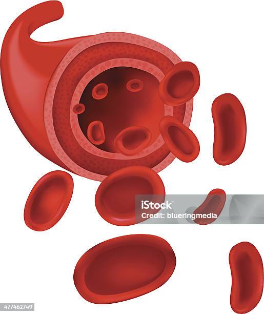 Эритроциты — стоковая векторная графика и другие изображения на тему Кровь - Кровь, Эритропоэтин, Monocyte