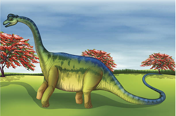 Brachiosaurus Illustration showing the Brachiosaurus tree fern stock illustrations