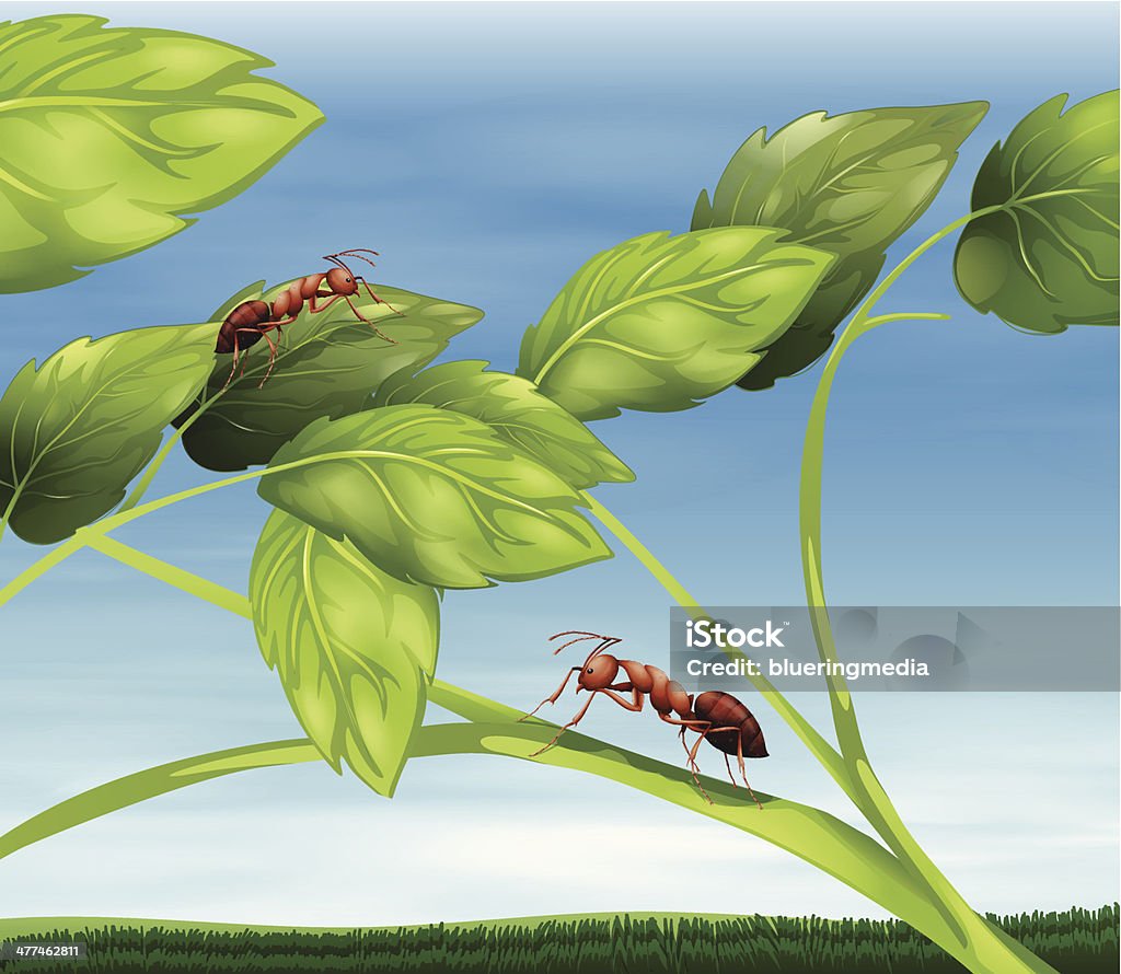 Formigas - Vetor de Animal royalty-free
