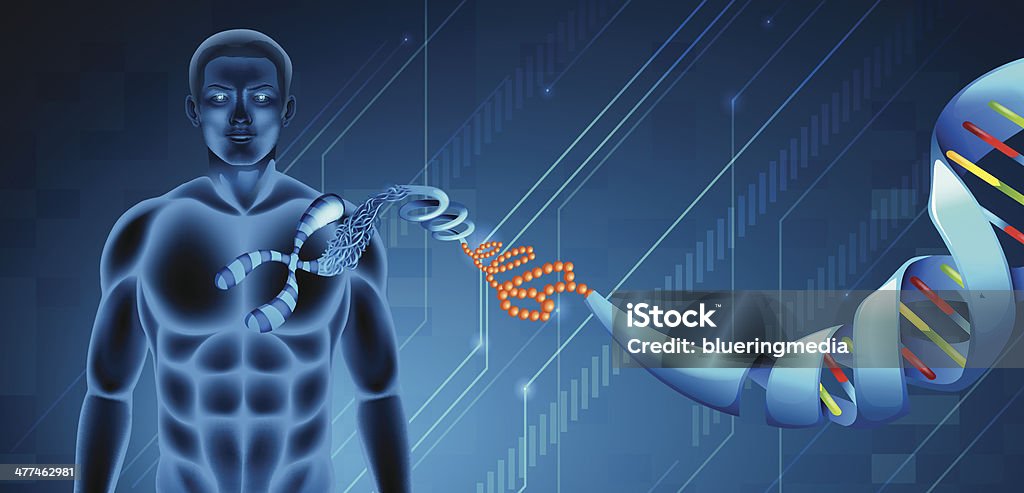 Ácido desoxirribonucleico (Deoxyribonucleic acid - arte vectorial de ADN libre de derechos