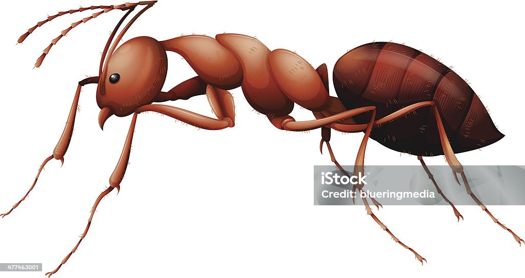 Die Ant - Lizenzfrei Blattschneiderameise Vektorgrafik